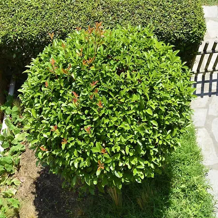 7th Heaven Luxury Maisonette